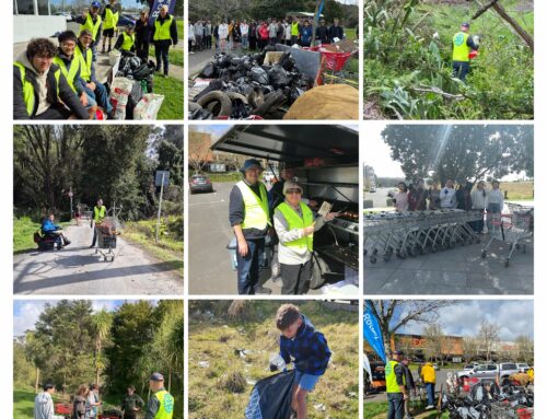 Teaming Up to Keep NZ Beautiful: North Shore Rotary’s Big Clean-Up Effort