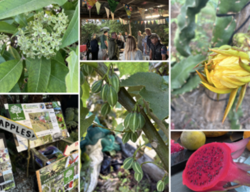 Vocational Visit to Specialist Nursery